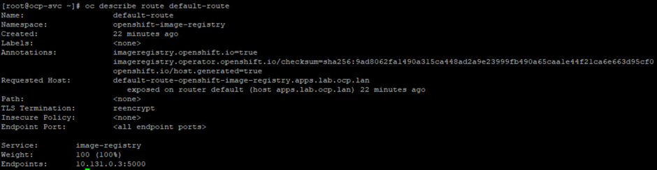 That covers the basics of OpenShift route